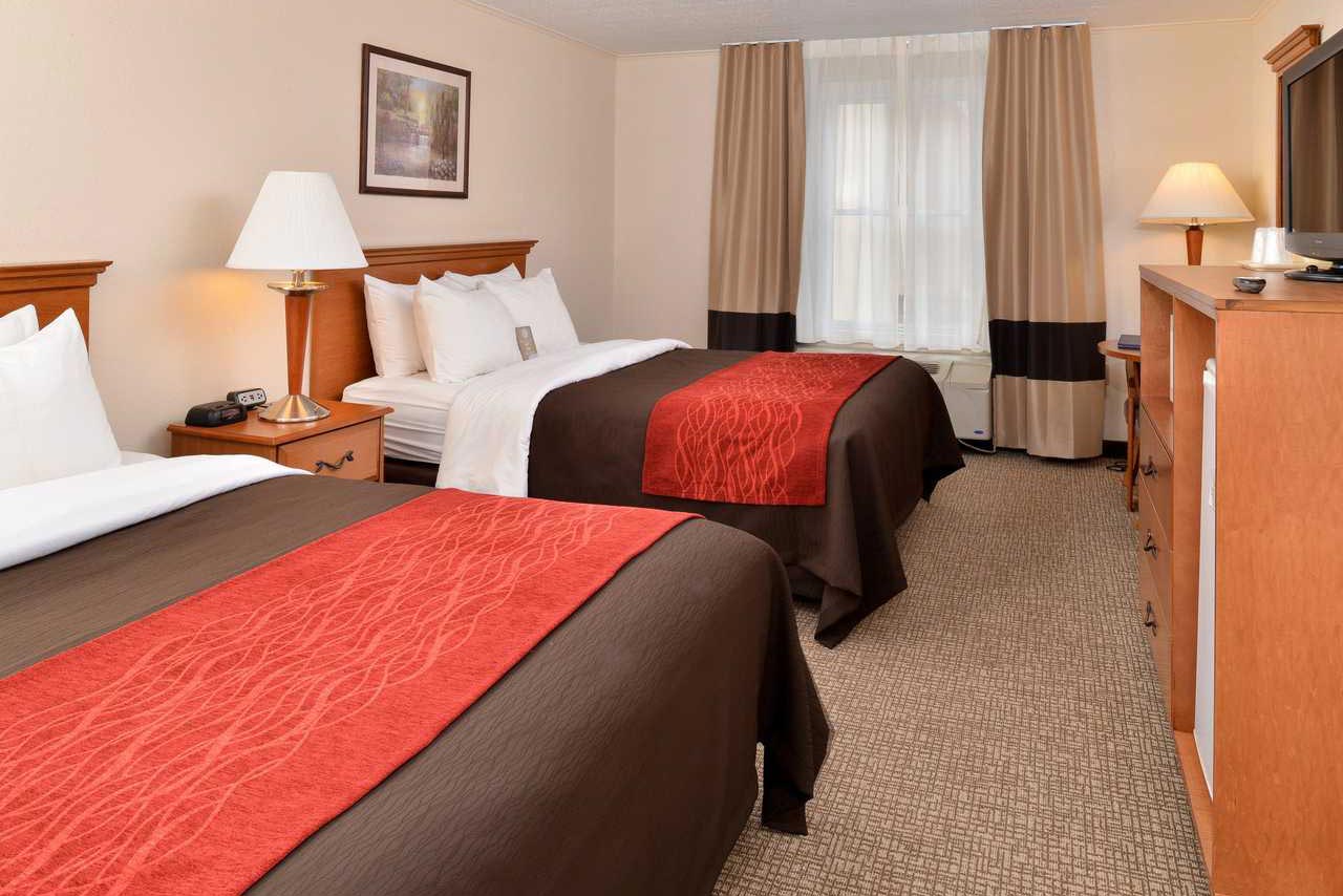 Photo of Comfort Inn Selinsgrove King Guest Room